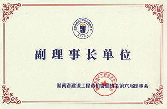 湖南省建設工程造價管理協會（副理事長單位）